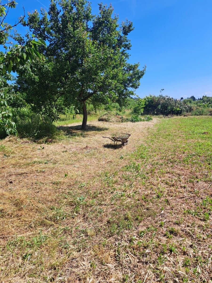 Zemědělské pozemky, Mikulčice, 696 19, 1 352 m²