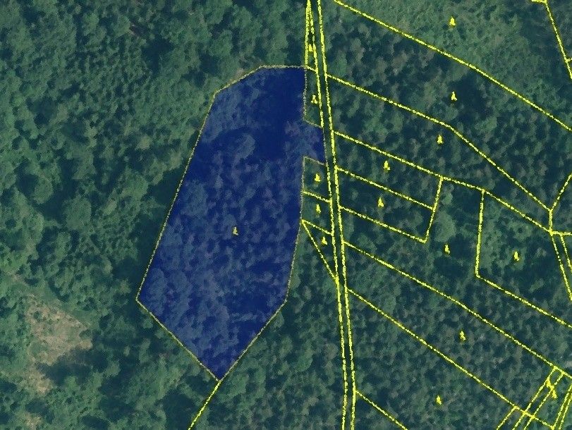 Lesy, Sušice, 342 01, 10 600 m²