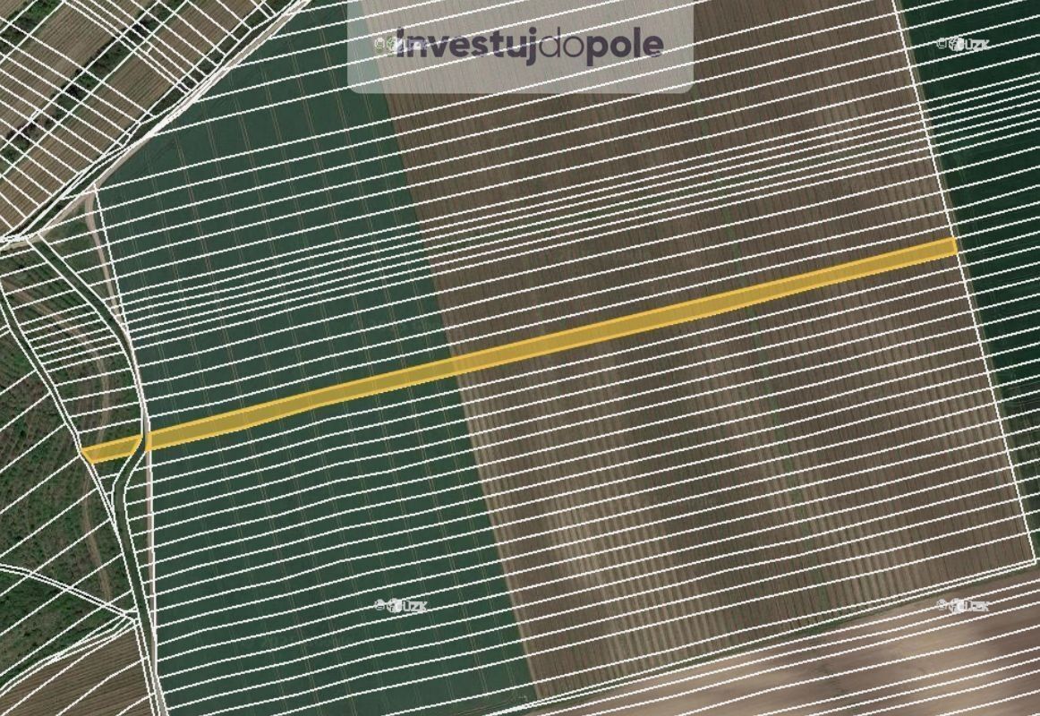 Ostatní, Čejkovice, 11 743 m²