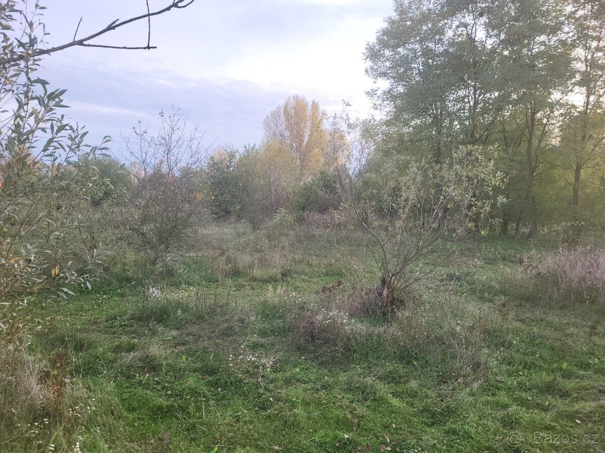 Prodej pozemek pro bydlení - Štětí, 411 08, 18 300 m²