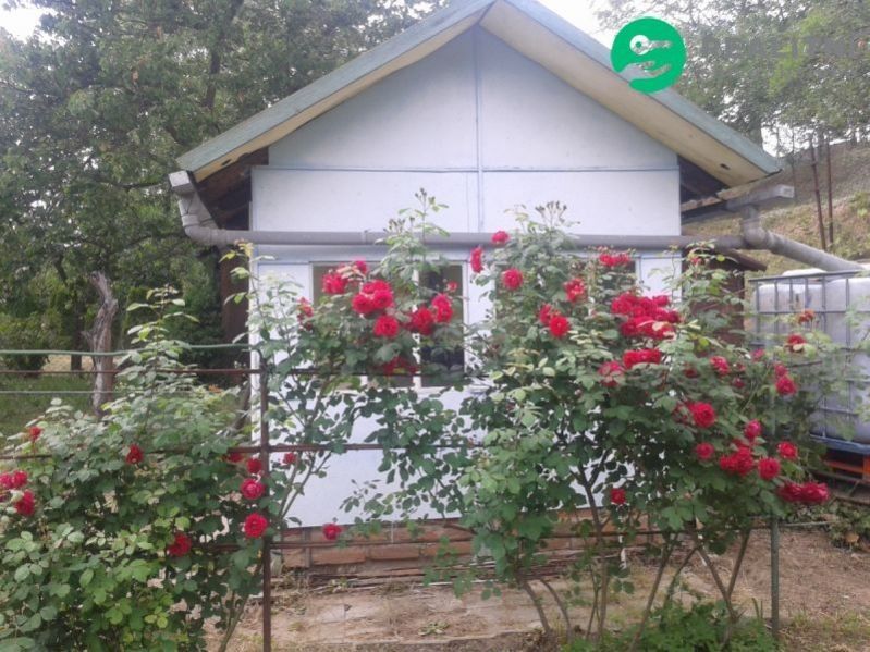 Zahrady, Husova, Miroslav, 632 m²