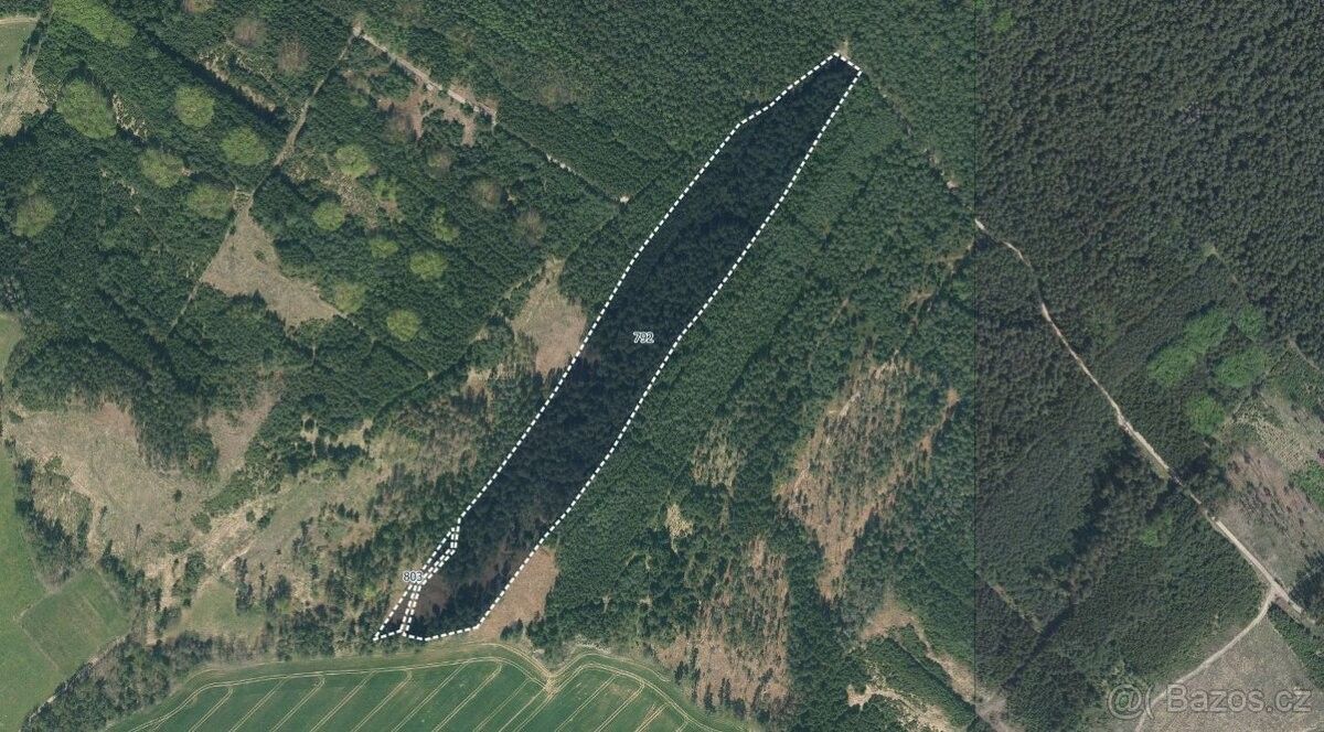 Prodej les - Soběslav, 392 01, 116 361 m²