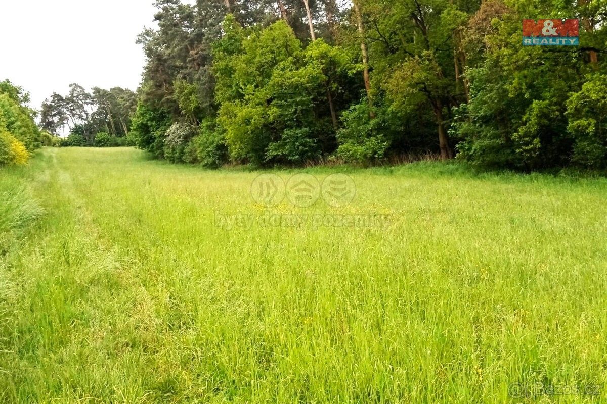 Ostatní, Vlašim, 258 01, 10 664 m²