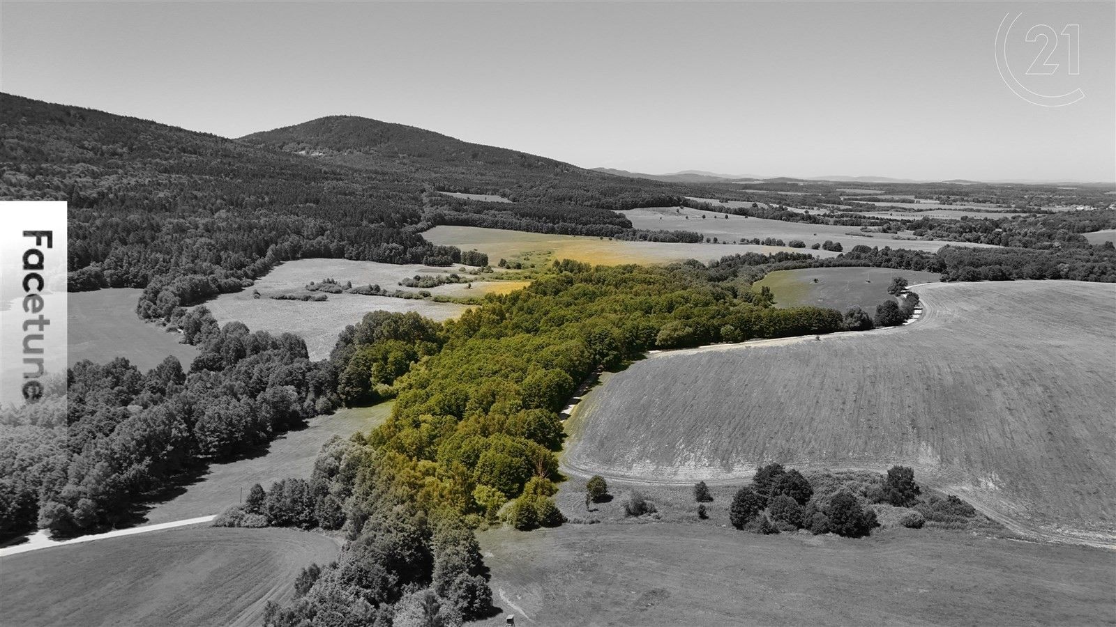 Lesy, Horní Stropnice, 29 772 m²