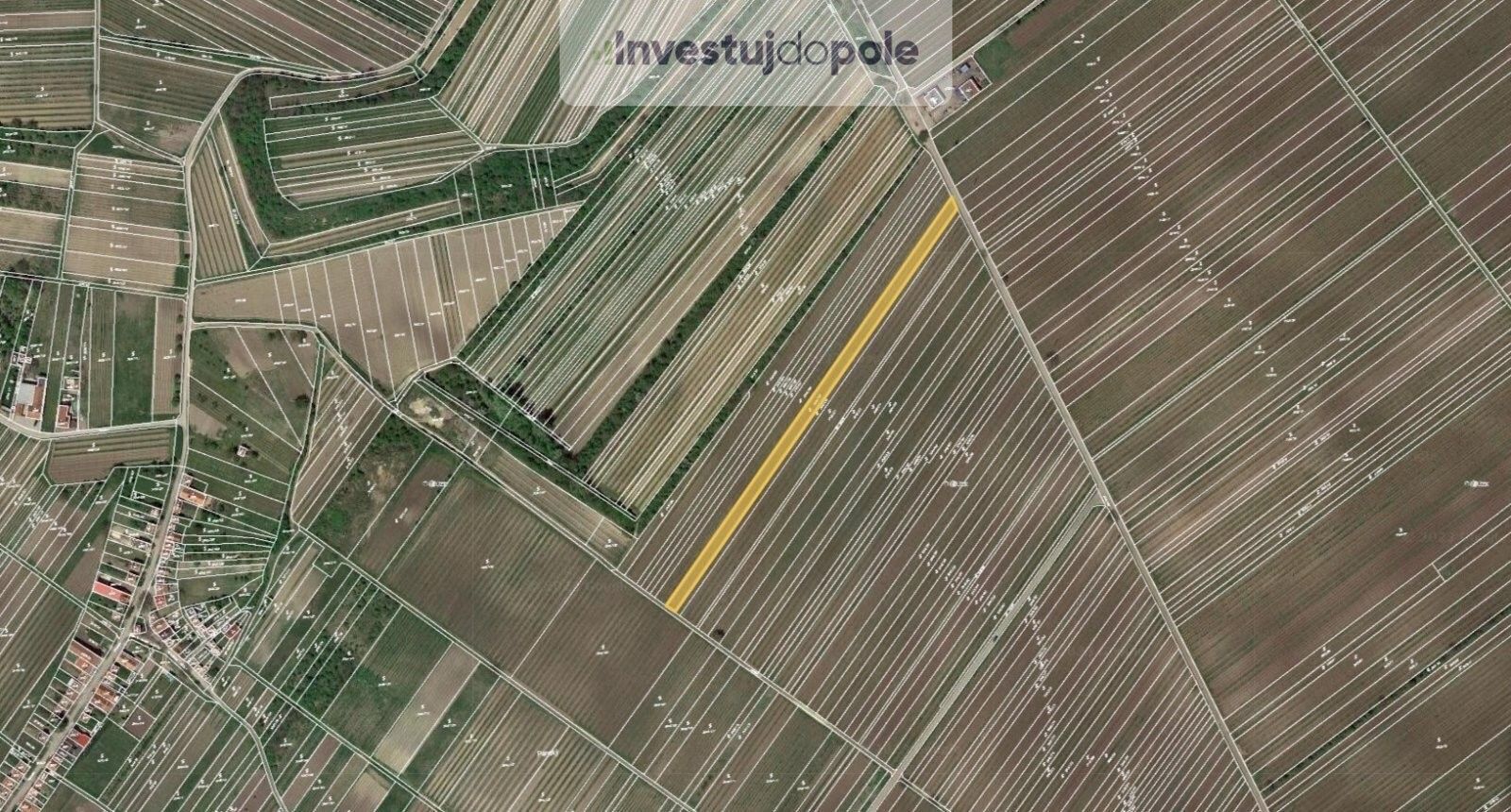Ostatní, Velké Bílovice, 3 322 m²