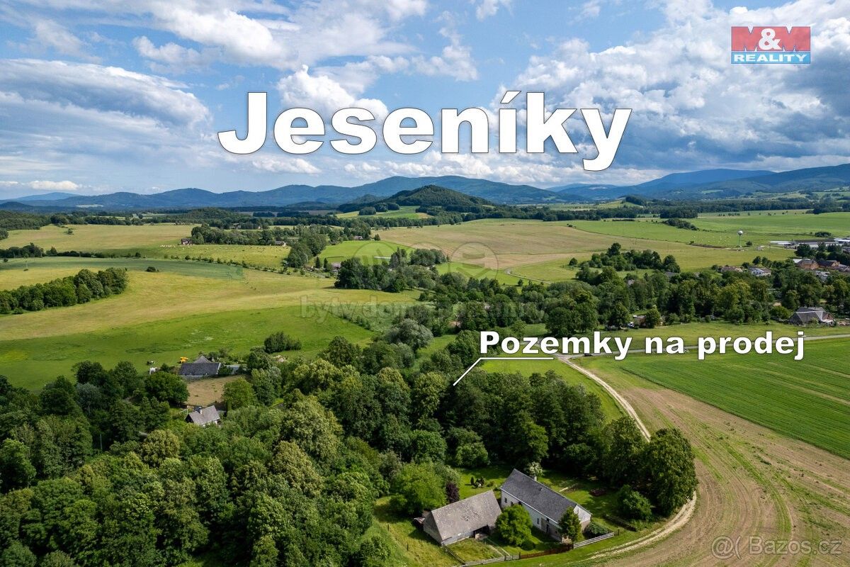 Prodej pozemek pro bydlení - Žulová, 790 65, 7 089 m²