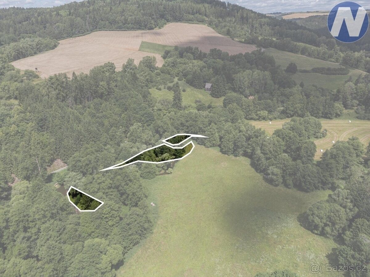 Prodej pozemek - Planá u Mariánských Lázní, 348 15, 1 939 m²
