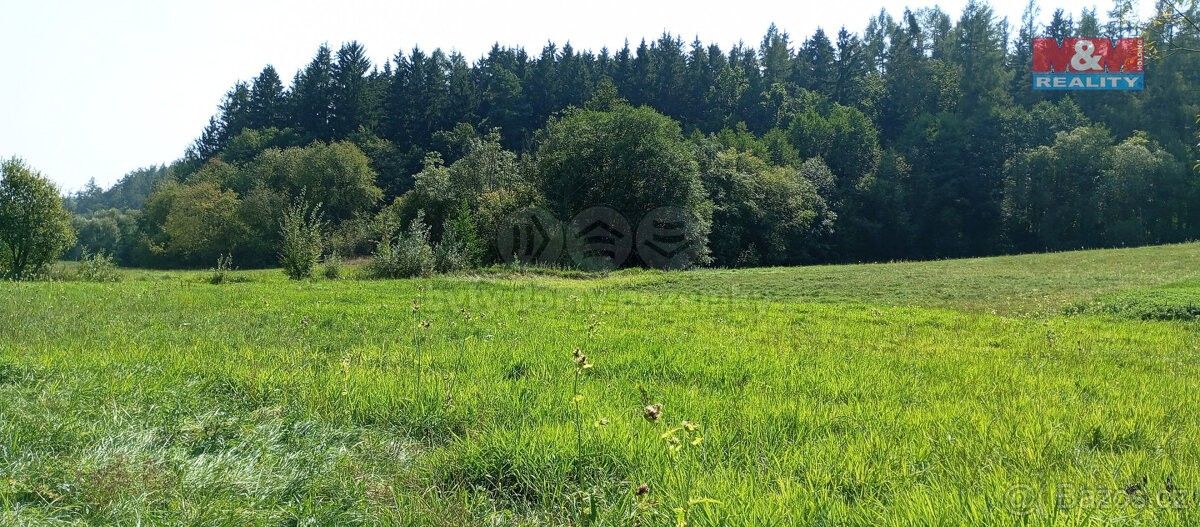 Prodej louka - Chyňava, 267 07, 11 196 m²