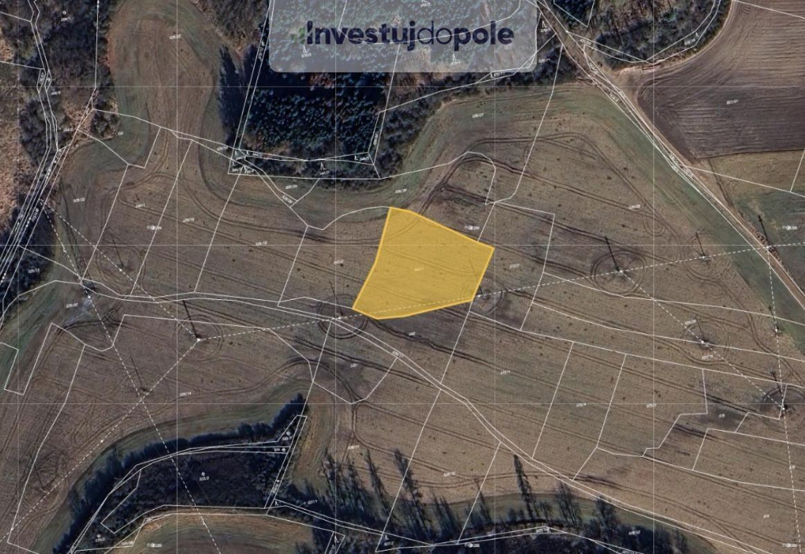 Prodej zemědělský pozemek - Blovice, 8 545 m²
