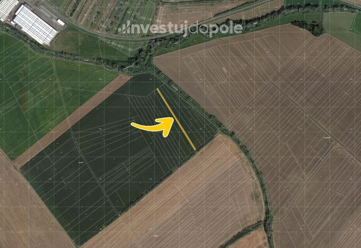 Prodej zemědělský pozemek - Louka, 1 544 m²