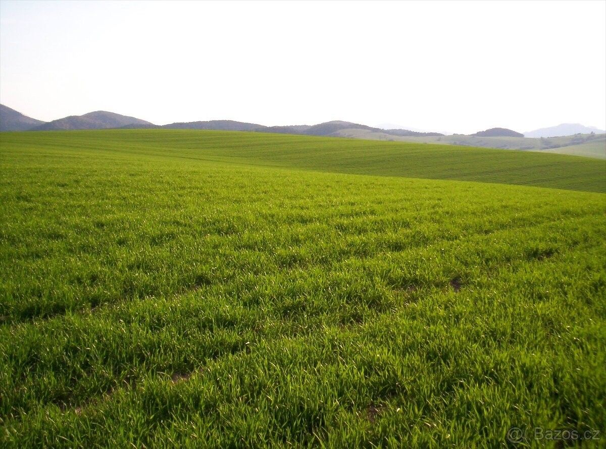 Zemědělské pozemky, Benešov u Prahy, 256 01, 24 469 m²