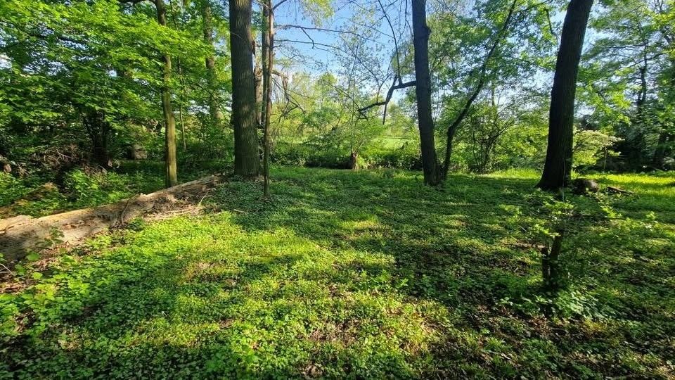 Prodej zahrada - Studénka, 742 13, 1 456 m²