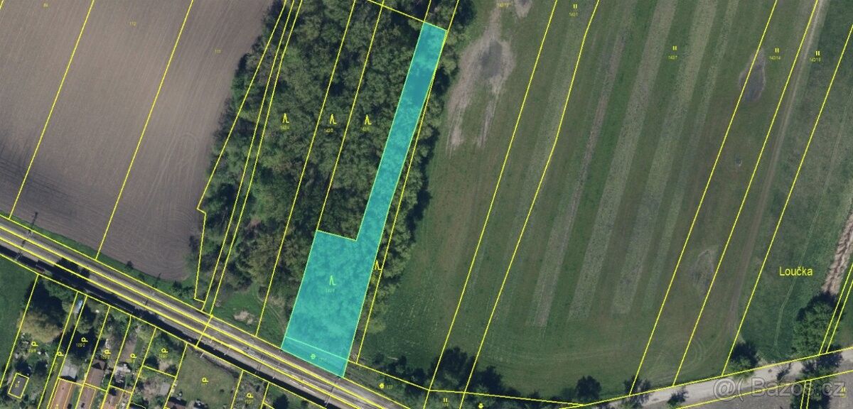 Lesy, Holice v Čechách, 534 01, 2 660 m²