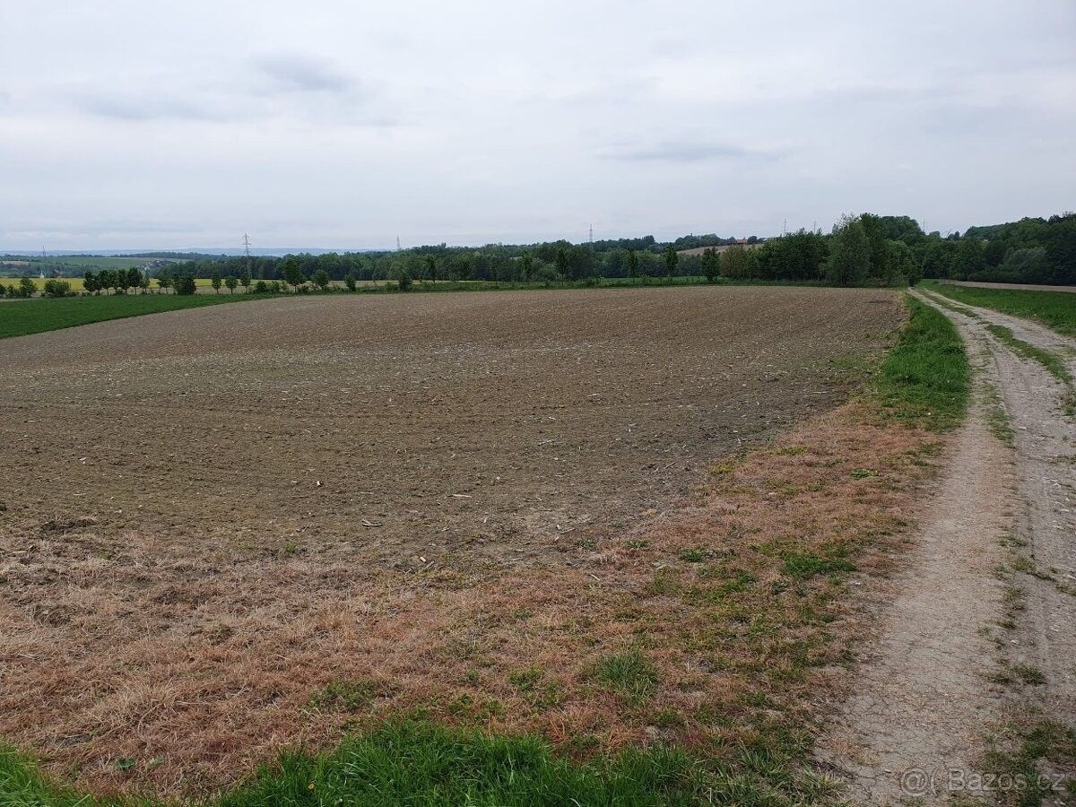 Prodej pozemek pro bydlení - Kopřivnice, 742 21, 3 198 m²