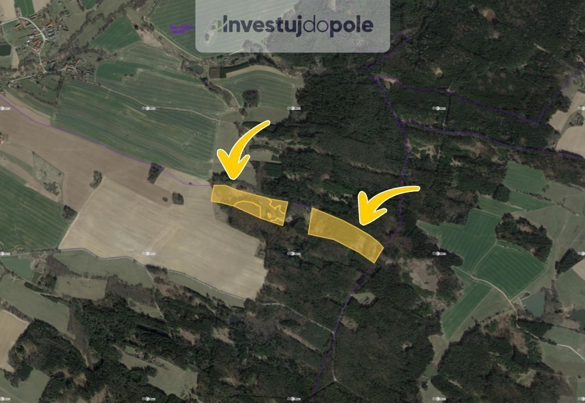 Prodej les - Světce, 93 967 m²