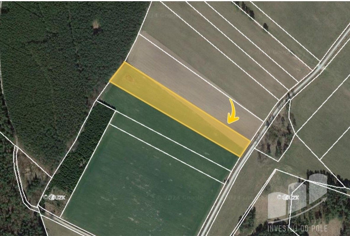 Prodej zemědělský pozemek - Borkovice, 58 319 m²