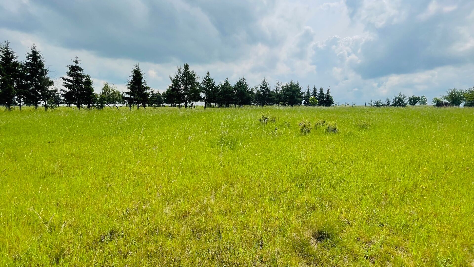 Prodej louka - Štoka, Unhošť, 1 427 m²