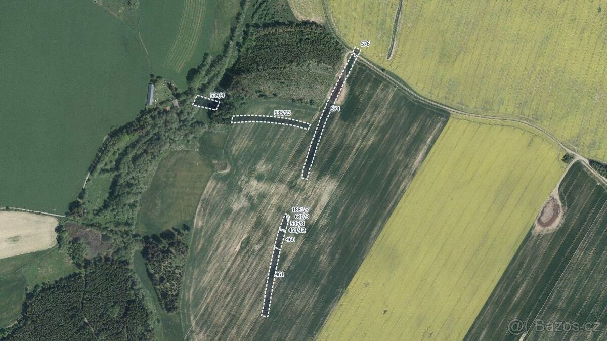 Prodej zemědělský pozemek - Vyklantice, 394 27