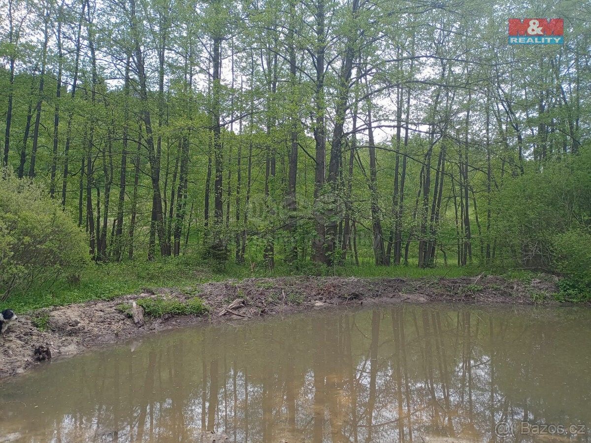 Prodej zemědělský pozemek - Jablonec nad Nisou, 468 48, 6 962 m²