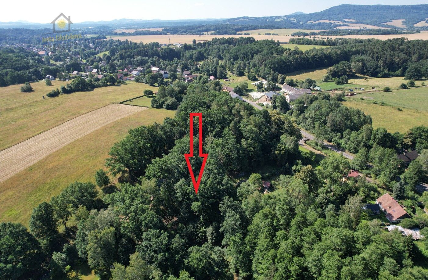 Prodej les - Horní Libchava, 1 203 m²