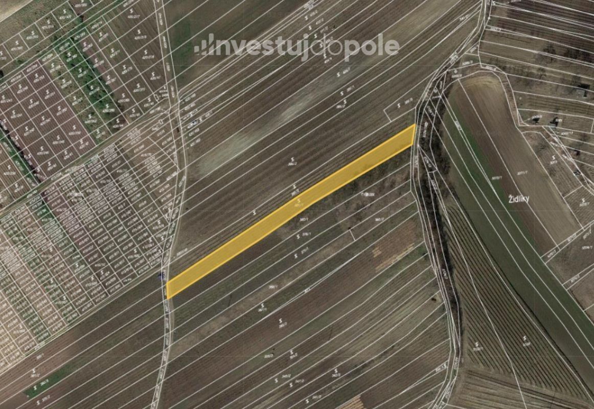 Ostatní, Čejkovice, 1 956 m²