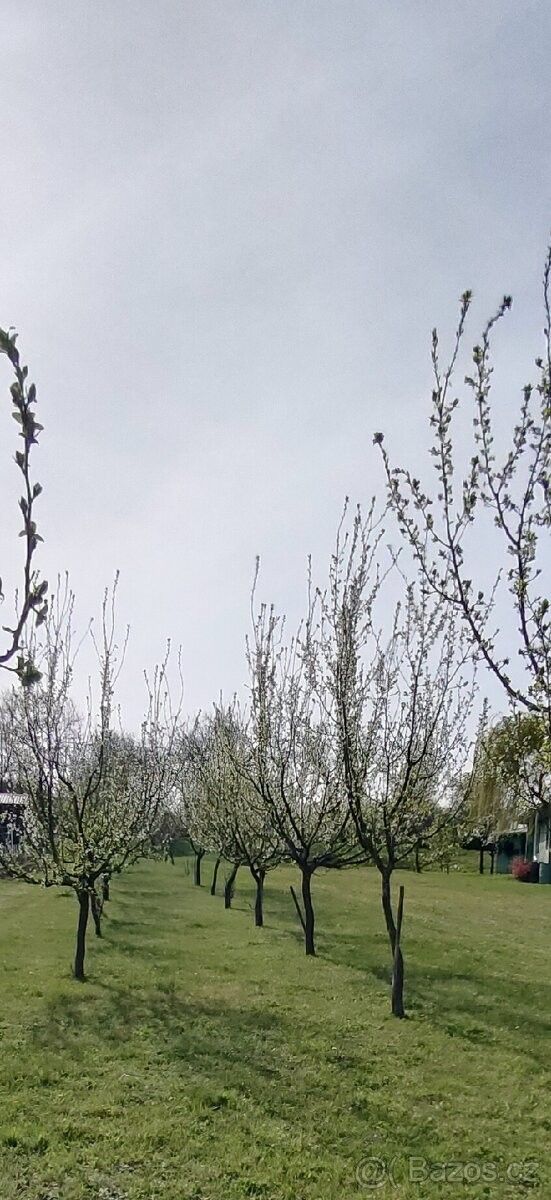 Zahrady, Vnorovy, 696 61, 2 500 m²