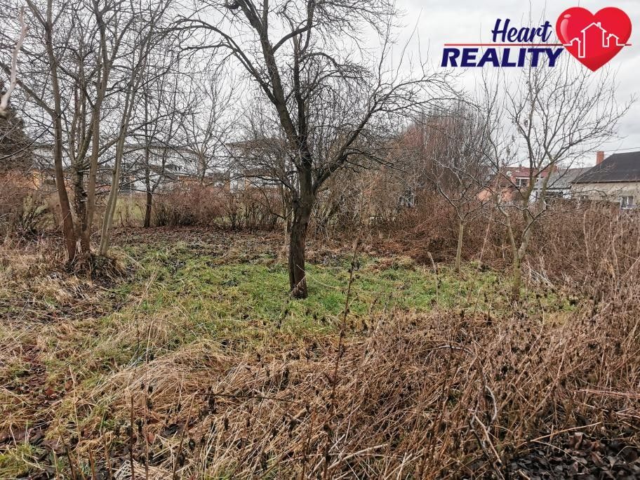Pozemky pro bydlení, Hlavní, Sudice, 259 m²