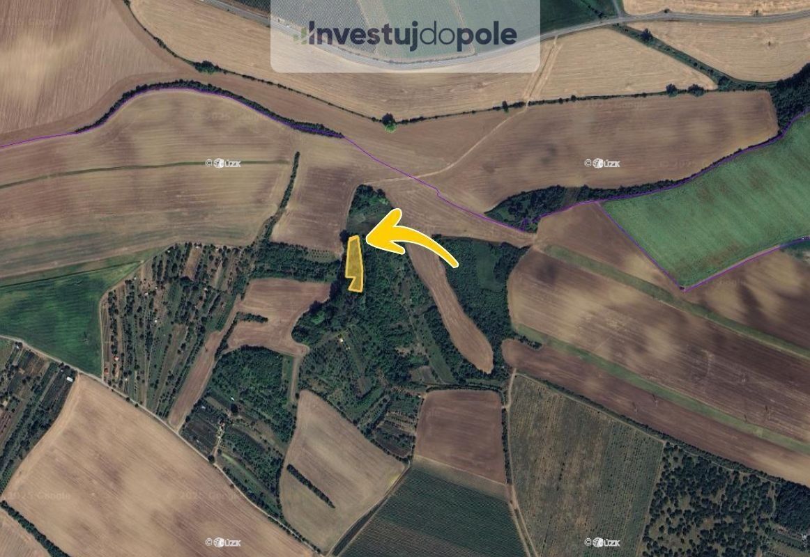 Prodej pozemek - Svatobořice, Svatobořice-Mistřín, 2 854 m²