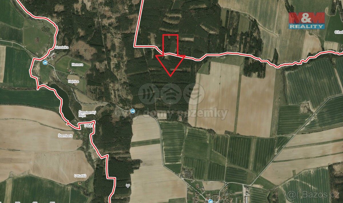 Prodej les - Týn nad Vltavou, 375 01, 4 751 m²