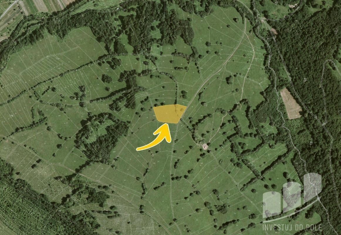 Prodej louka - Javorník, 1 168 m²