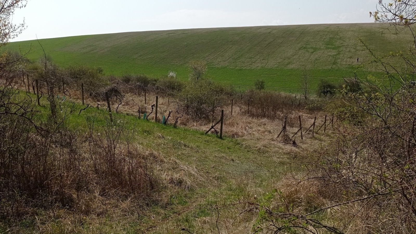 Prodej pozemek - Velké Němčice, 6 023 m²