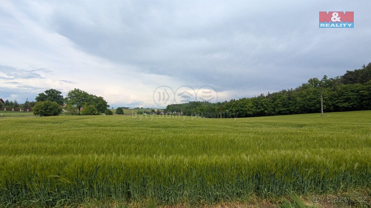 Prodej zemědělský pozemek - Písek, 397 01, 32 652 m²