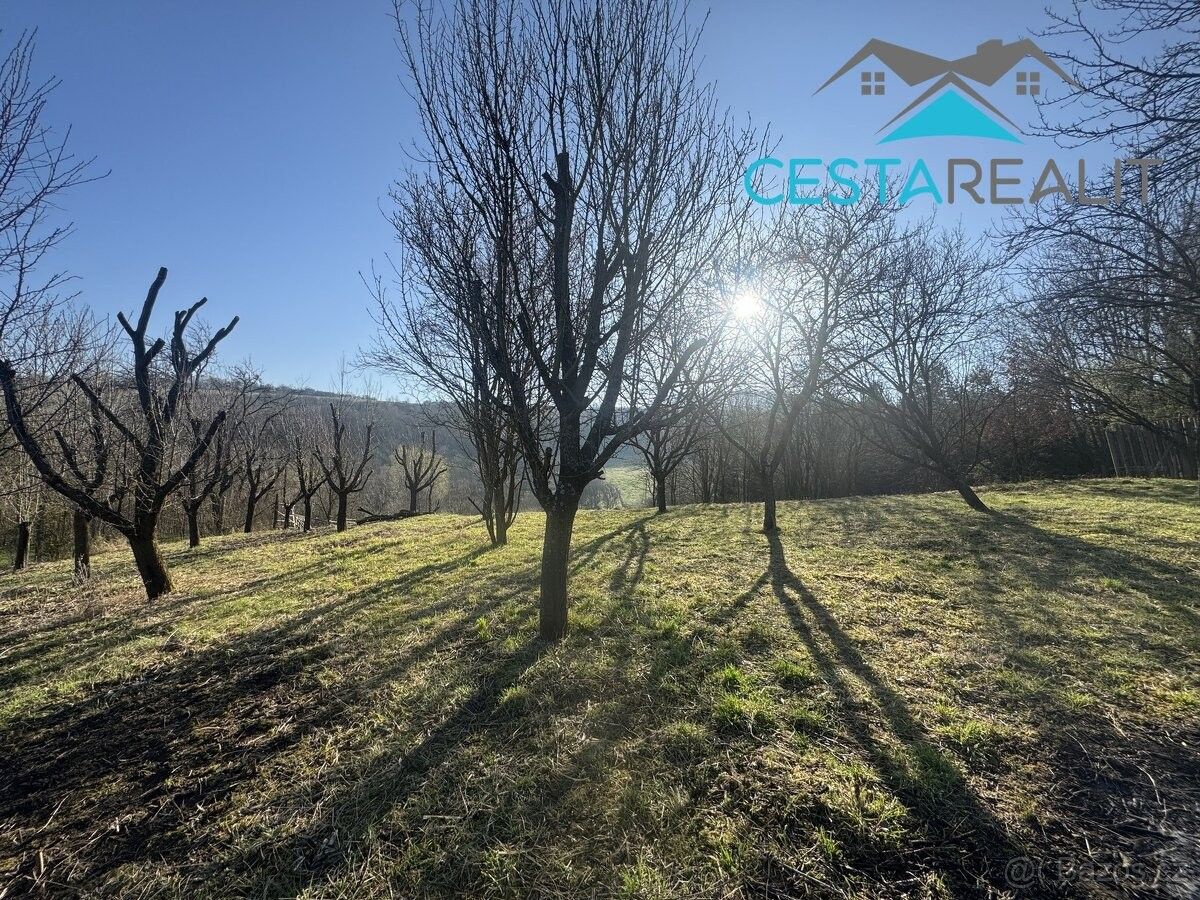 Pozemky pro bydlení, Blatnice pod Svatým Antonínkem, 696 71, 4 380 m²