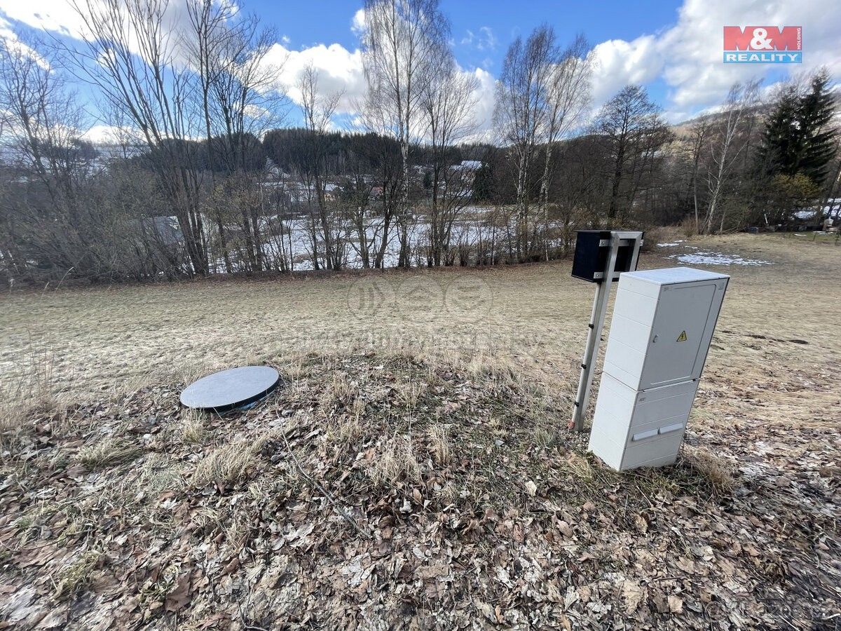 Prodej les - Plavy, 468 46, 2 475 m²