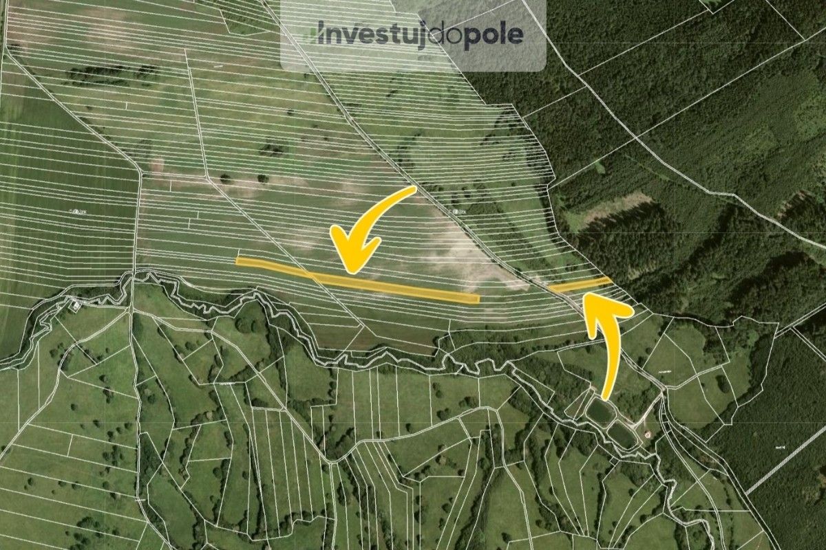 Prodej zemědělský pozemek - Javorník, 8 539 m²