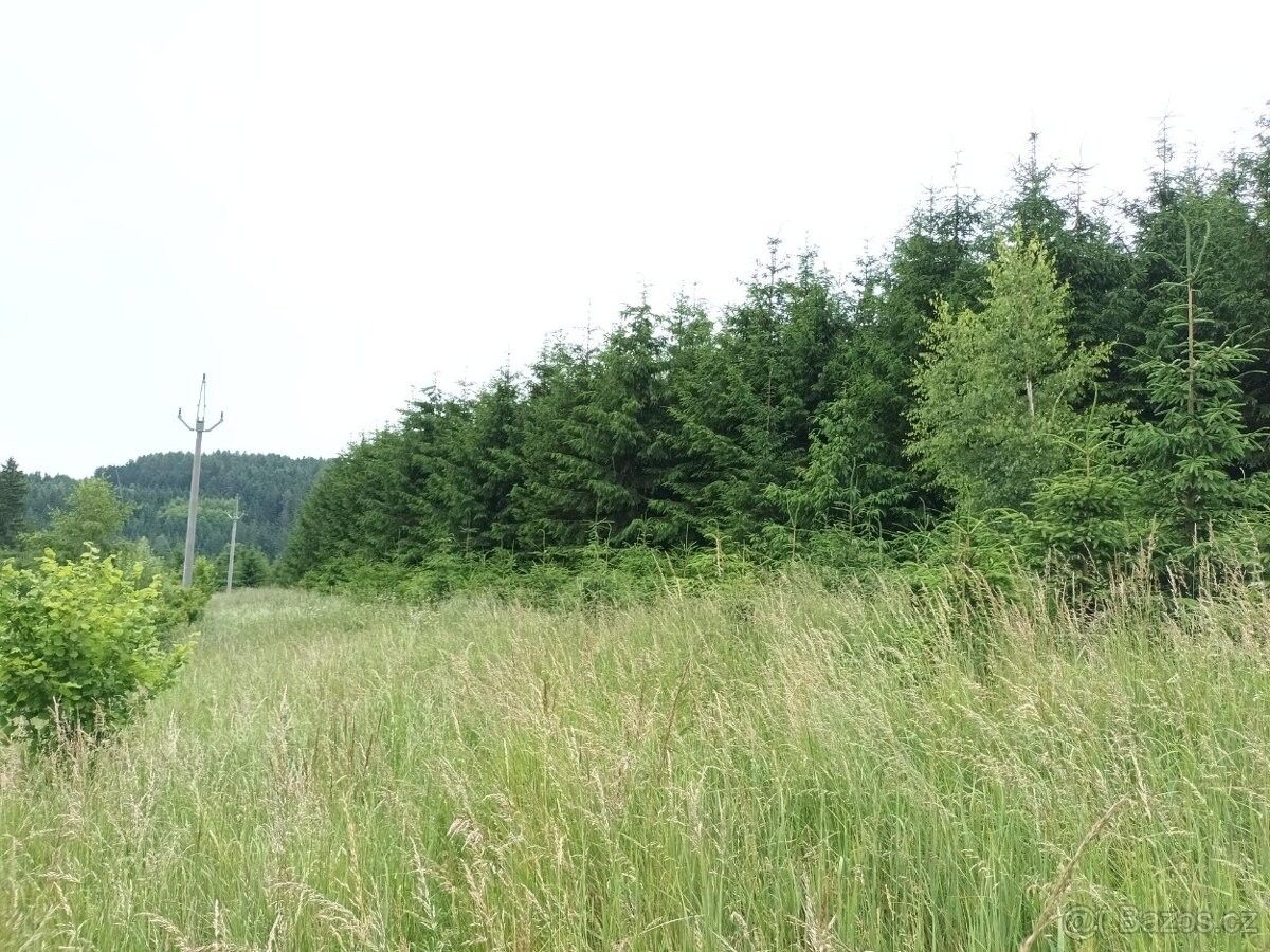 Prodej les - Svitavy, 568 02, 39 653 m²