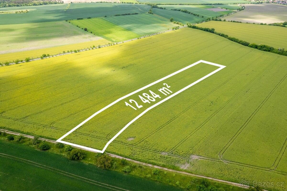 Prodej zemědělský pozemek - Kostelní Hlavno, 294 76, 84 910 m²