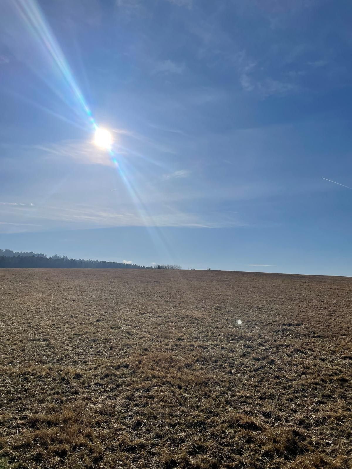 Lesy, Sedlce, Svatý Jan nad Malší, 27 831 m²