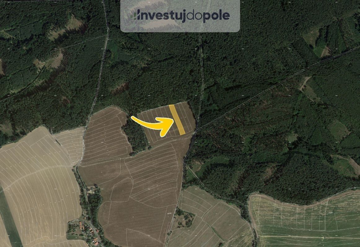 Prodej zemědělský pozemek - Všekary, 2 644 m²