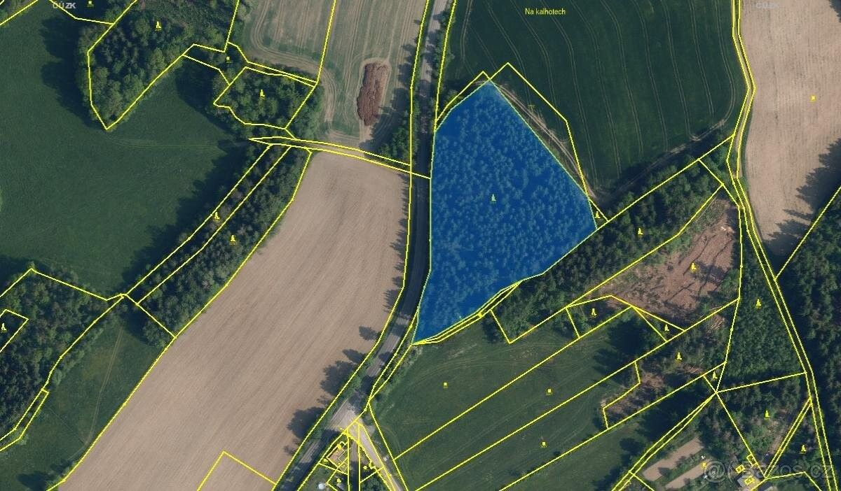 Lesy, Železný Brod, 468 22, 13 378 m²