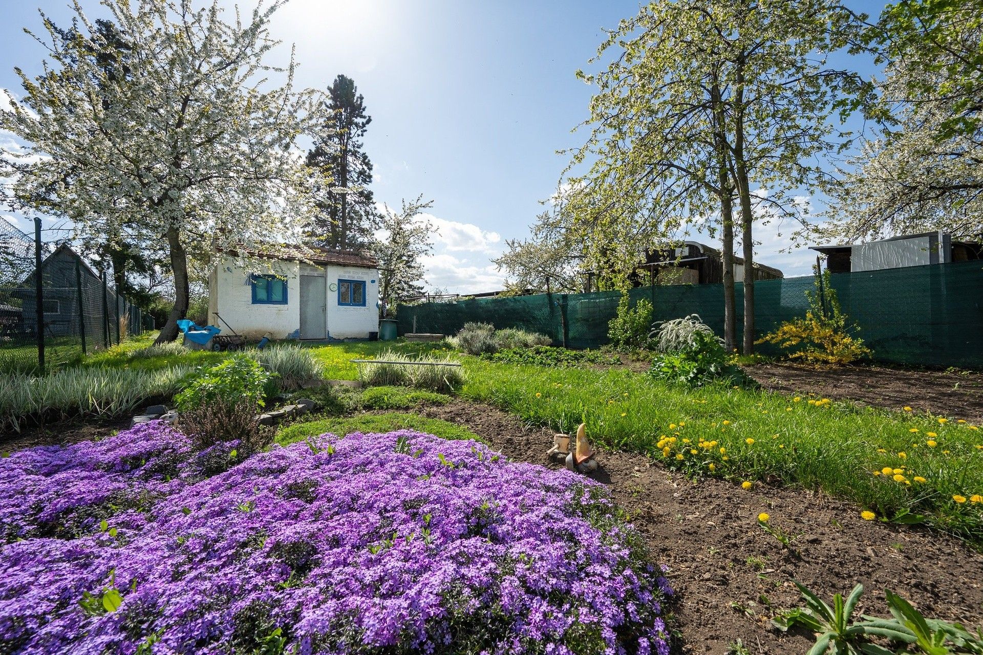 Zahrady, Myslivecká, Brno, 956 m²
