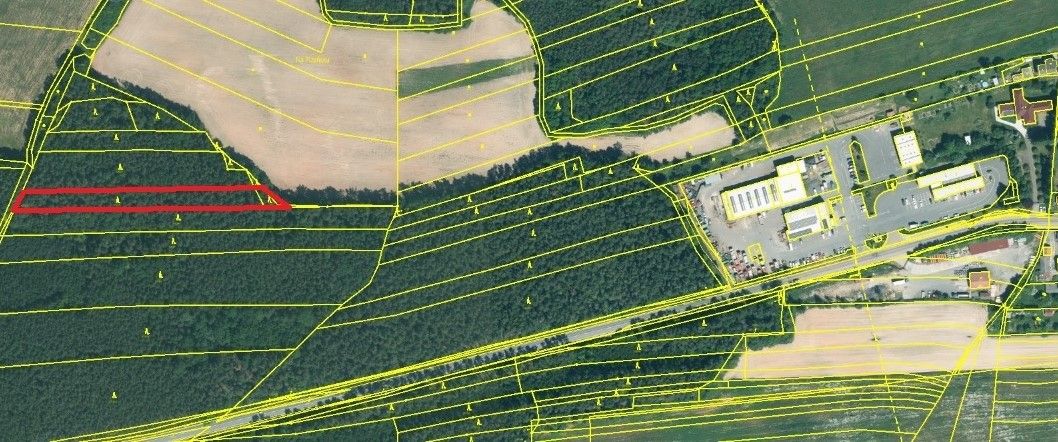 Prodej les - Kaznějov, 331 51, 11 170 m²