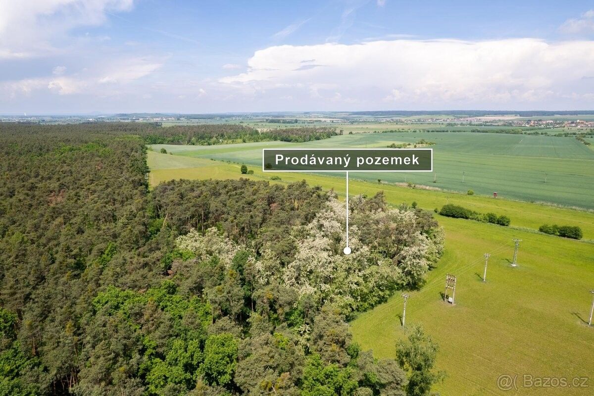 Zemědělské pozemky, Kostelní Hlavno, 294 76, 84 910 m²