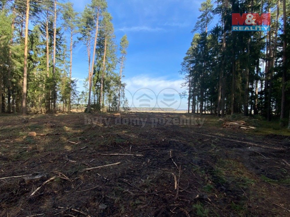 Prodej les - Kardašova Řečice, 378 21, 7 764 m²