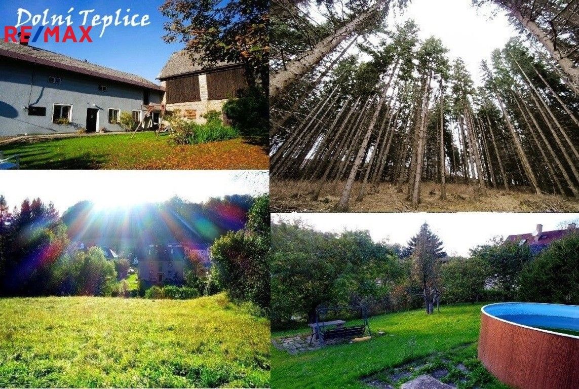 Ostatní, Nádražní, Teplice nad Metují, 190 m²