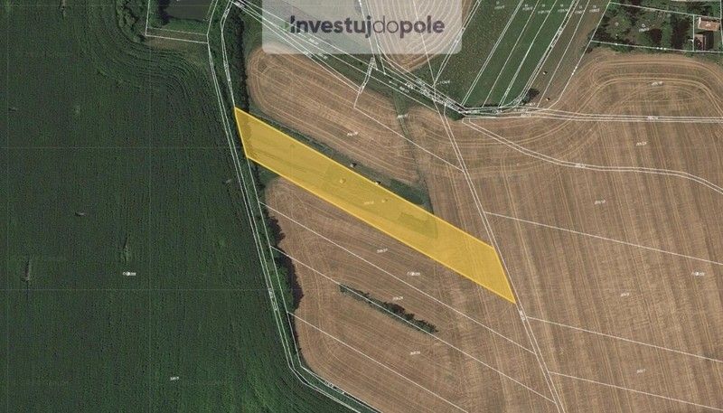 Zemědělské pozemky, Brodek u Prostějova, 798 07, 5 142 m²