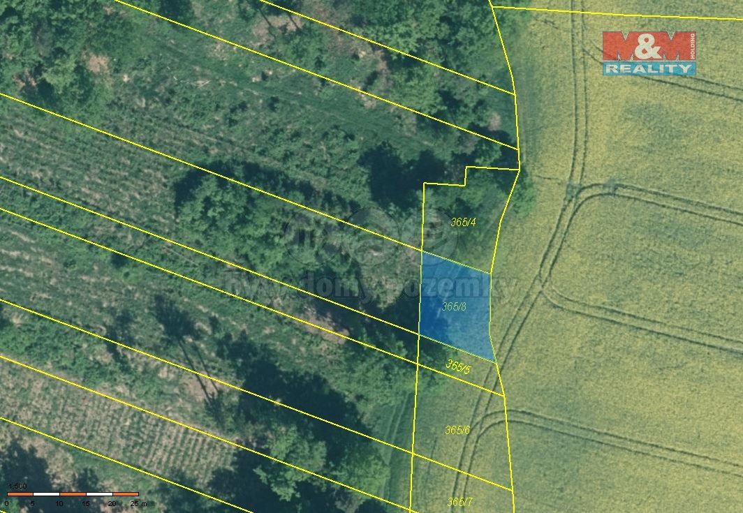 Prodej les - Bernartice u Milevska, 398 43, 4 125 m²