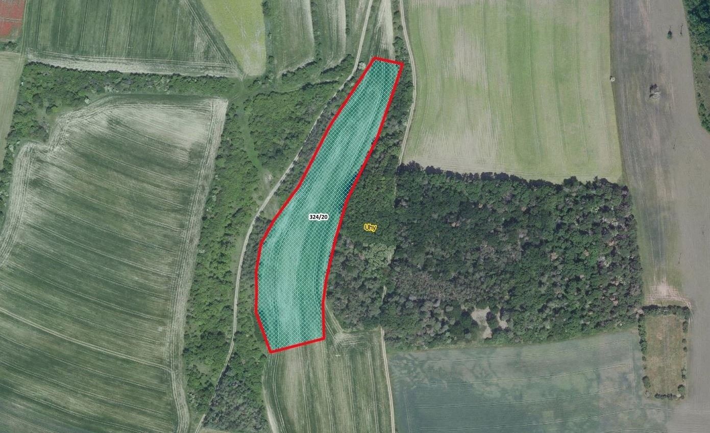 Zemědělské pozemky, Uhy, 12 574 m²
