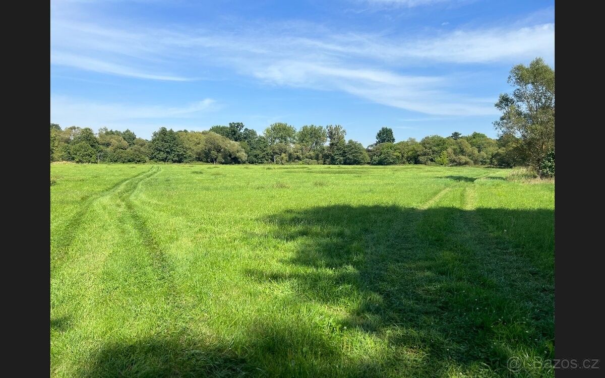 Lesy, Borohrádek, 517 24