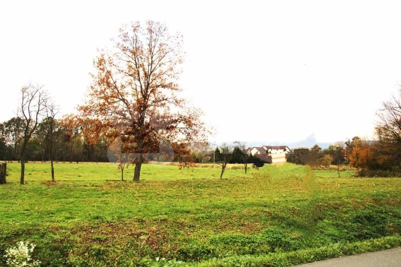 Pozemky pro bydlení, Mankovice, 2 000 m²